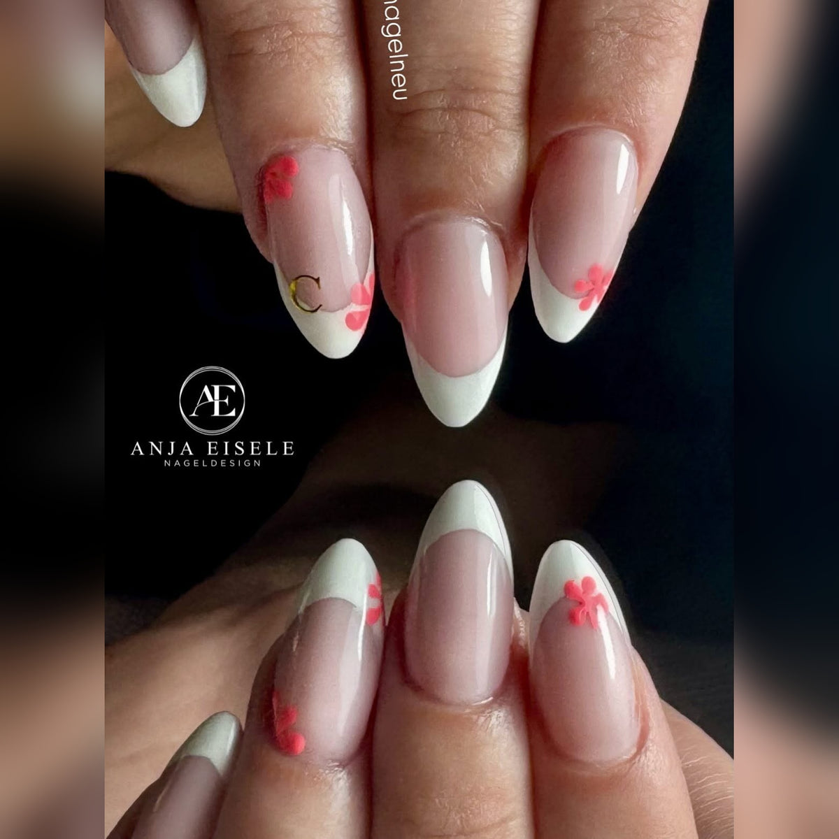 No File Builder Gel Cupcake